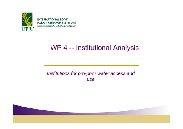 Institutional Analysis