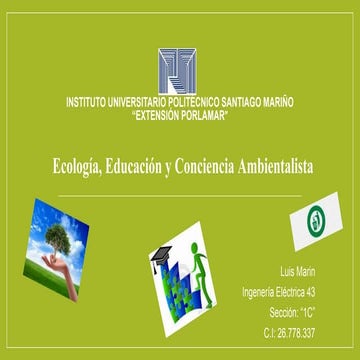 Trabajo IUPSM Luis Manuel 