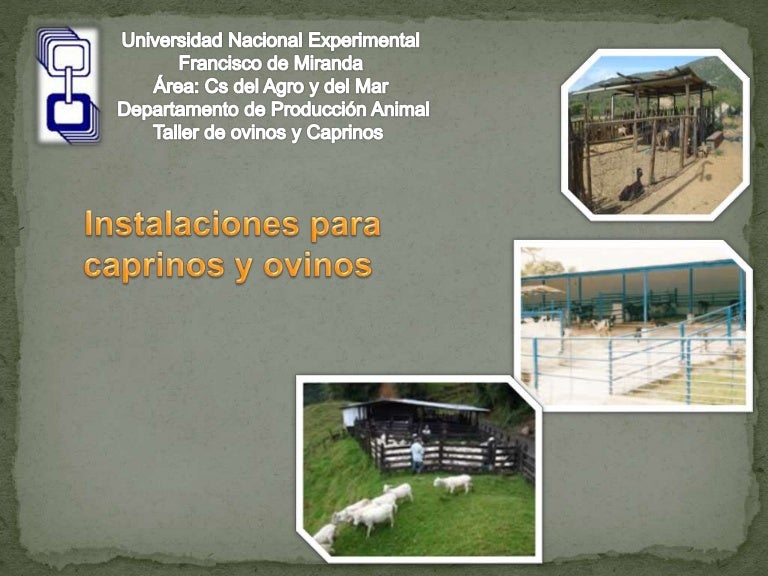 Instalaciones para caprinos y ovinos