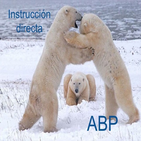 Instruccion directa vs abp