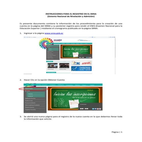 Instrucciones para el registro en el SNNA | PDF