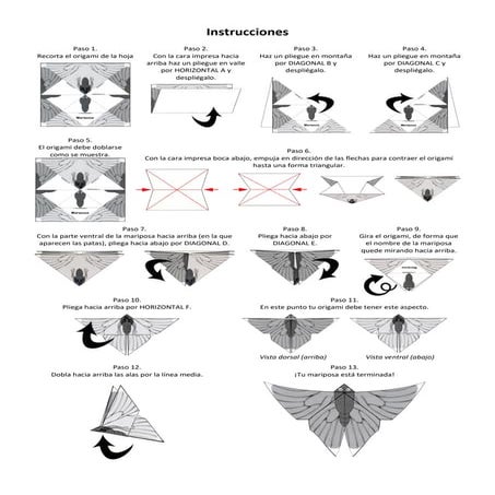 Instrucciones plegado_mariposas papiroflexia