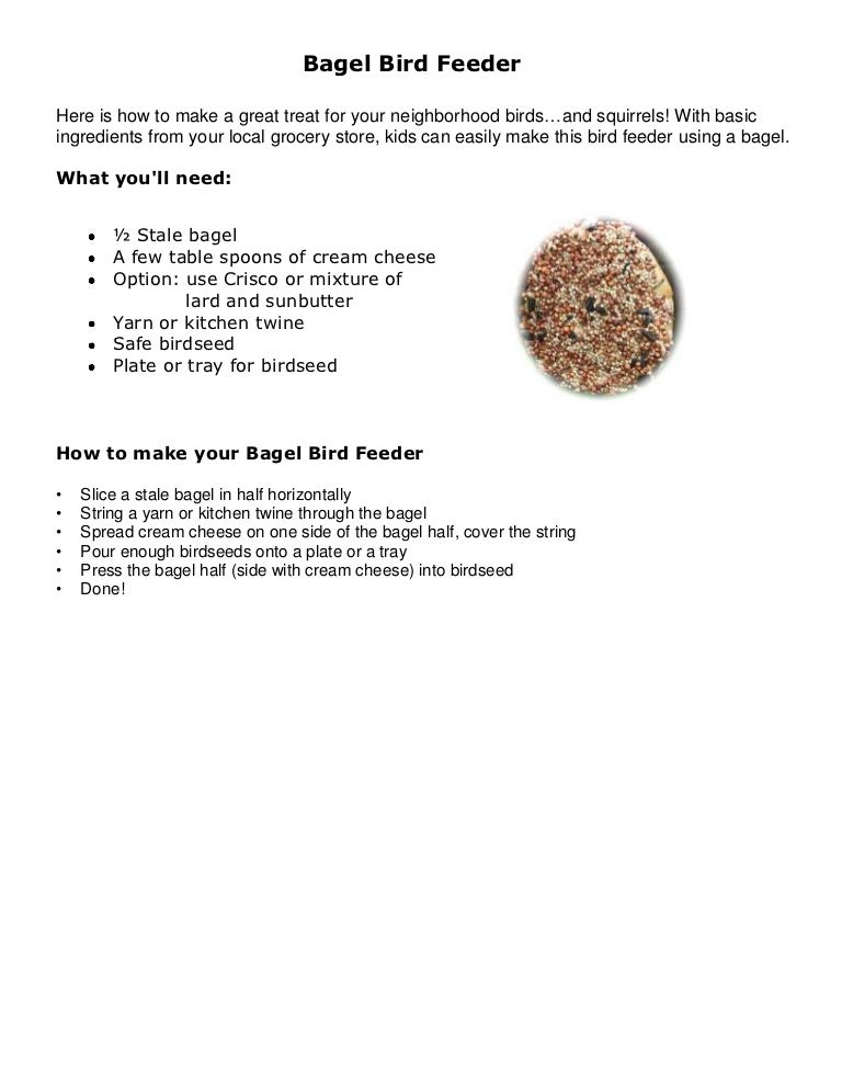 Instructions Bagel Bird Feeder