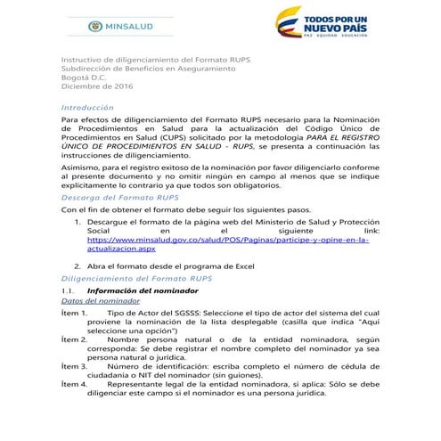 Instructivo formato rups | PDF