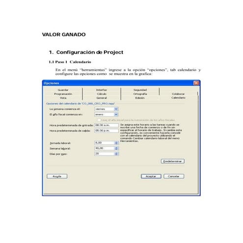 Instructivo generación cronograma