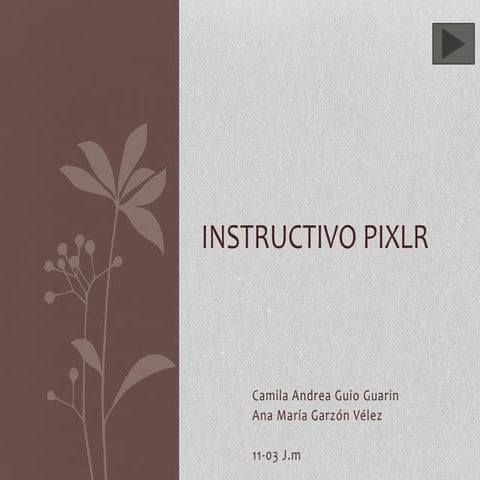 Instructivo pixlr