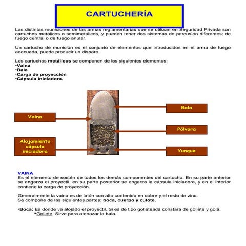 Instructor Cartuchería