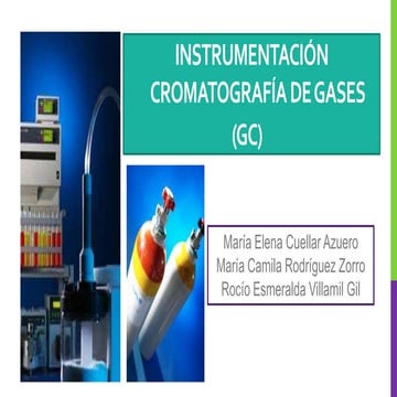 Instrumentación cromatografía de gases  2012-ii