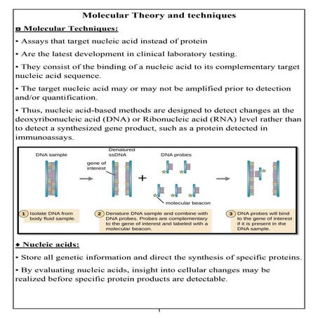 Molecular Theory and techniques and polymerase chain reaction | PDF