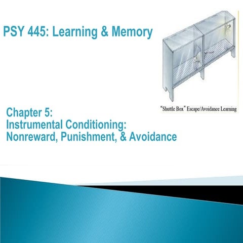 PSY 445: Learning & Memory - Instrumental Conditioning