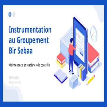 Instrumentation au Groupement Bir Sebaa (1).pptx