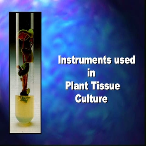 Essential Instruments and Tools Used in Plant Tissue Culture Techniques ...