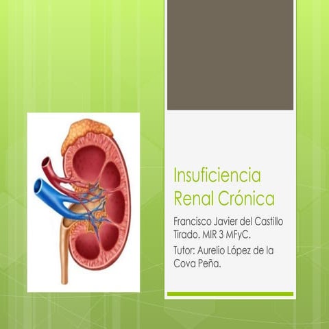 Insuficiencia Renal Crónica