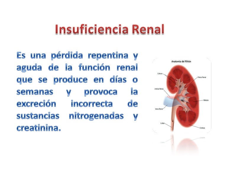 insuficiencia-renal-cr-nica