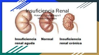 Insuficiencia renal