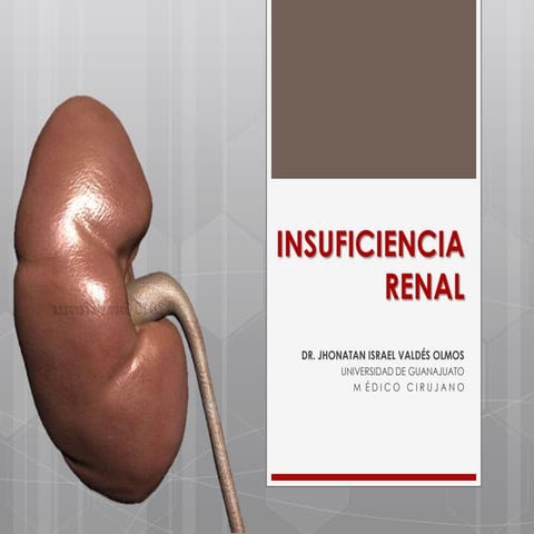 Insuficiencia renal cronica