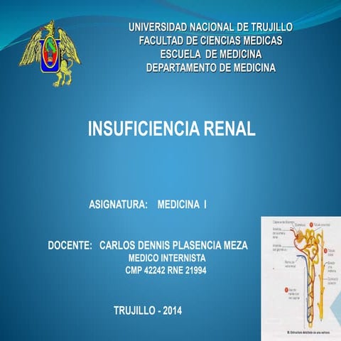 Insuficiencia renal