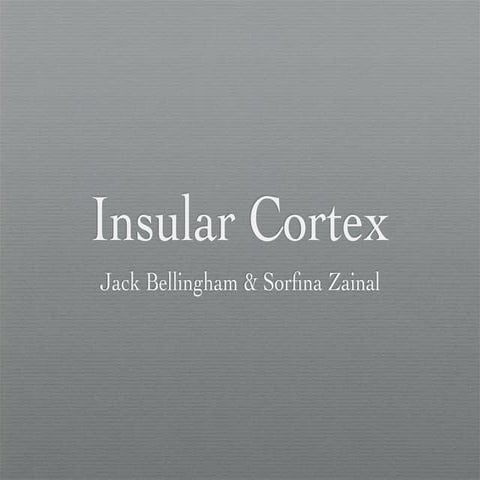 Insular cortex
