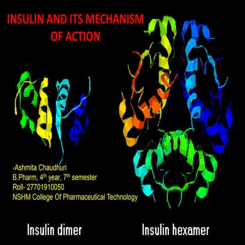 Insulin and its mechanism of action