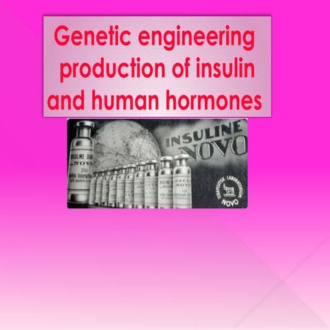 Insulin production by genetic engineering | PPTX