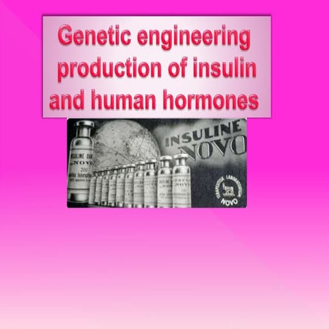 Insulin production by genetic engineering