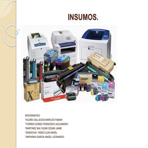 Los insumos | PPTX