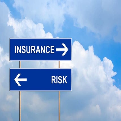Insurance Risk | PPT