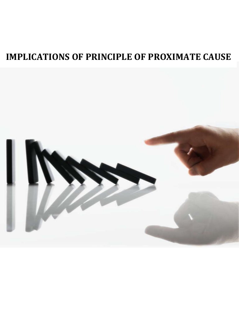 Practice and Implication of Principle of Proximate Cause