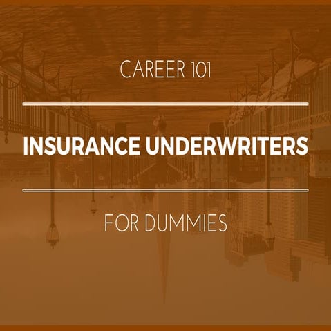 Insurance Underwriters for Dummies | What You Need To Know In 15 Slides
