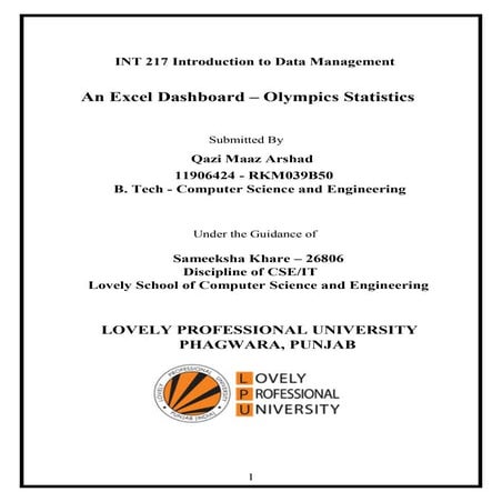 INT217 Project Report: Excel Dashboard