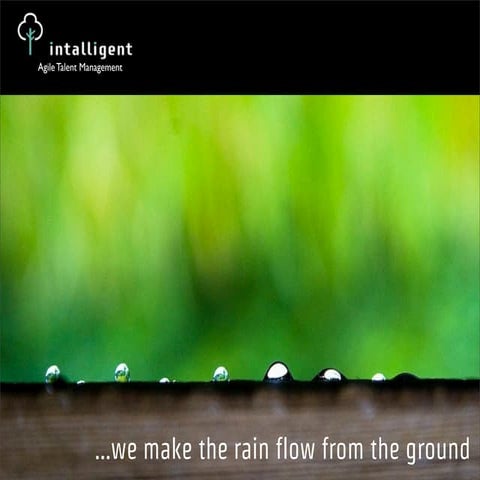 Intalligent - Sistema de gestión del talento ágil