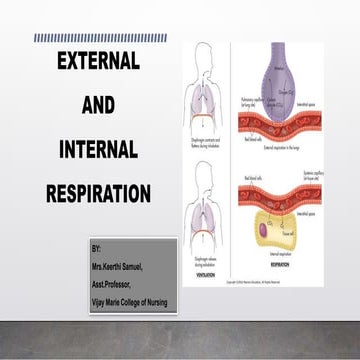 Int and ext respiration | PPTX
