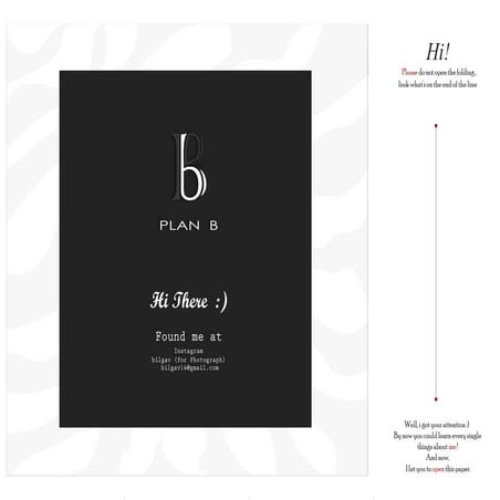 Int cv&amp;portfolio bilga 2