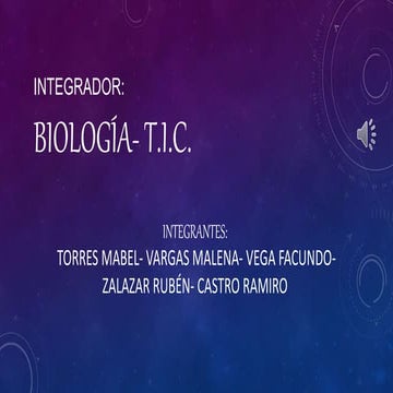 Efectos de la cocaína en el sistema nervioso