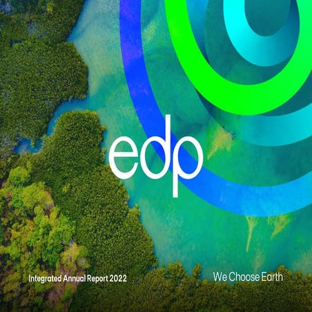 EDFR Company Profile | PDF