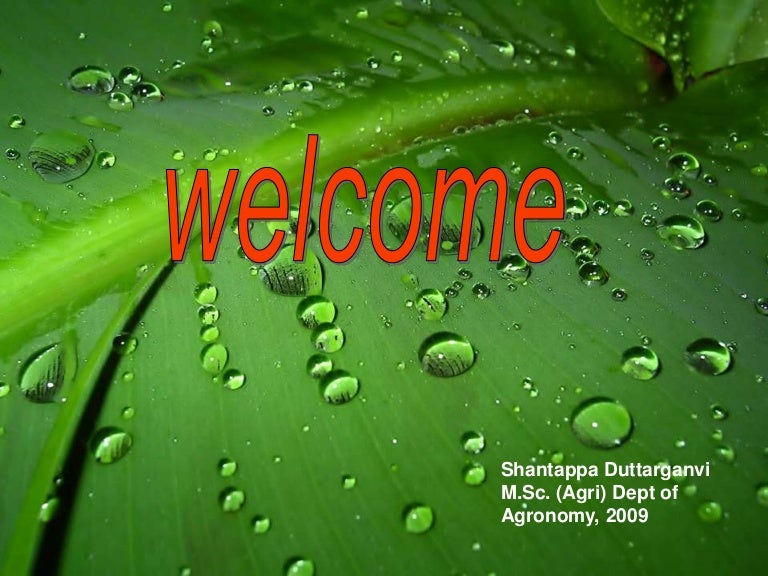 Integrated crop livestock system for sustainable crop production