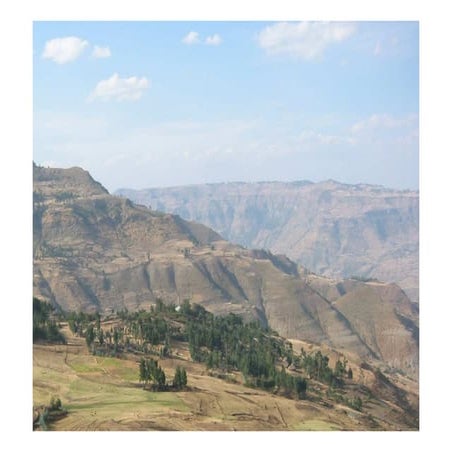 Integrated food security programme south gonder (gtz) [compatibility mode]