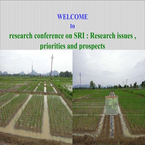 Integrated nutrient management approaches under system of rice intensificatio...