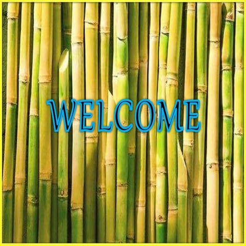 Integrated Pest Management of Sugarcane