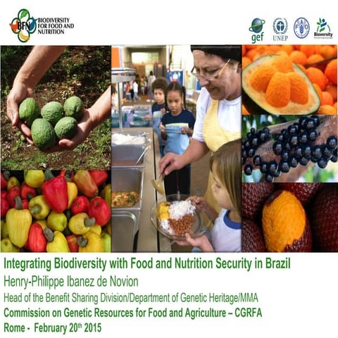 Integrating biodiversity with food and nutrition security in brazil