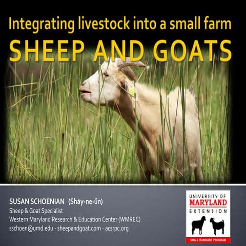 Integrating livestock into a small farm:  sheep and goats