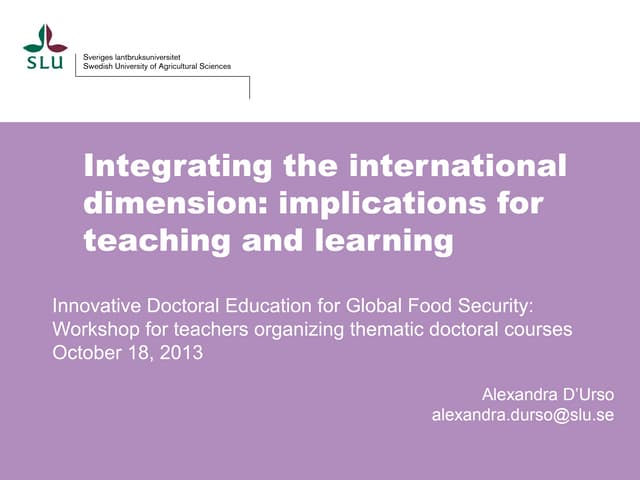 Integrating the international dimension final