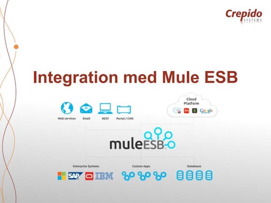 Integration mule