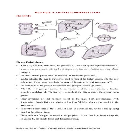 IM -03: Integration of metabolism Notes