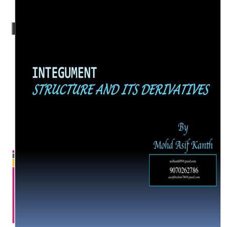 Integument.pdf