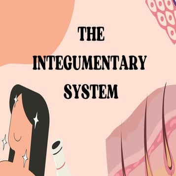 Human Integumentary - system.   -1.1.pdf