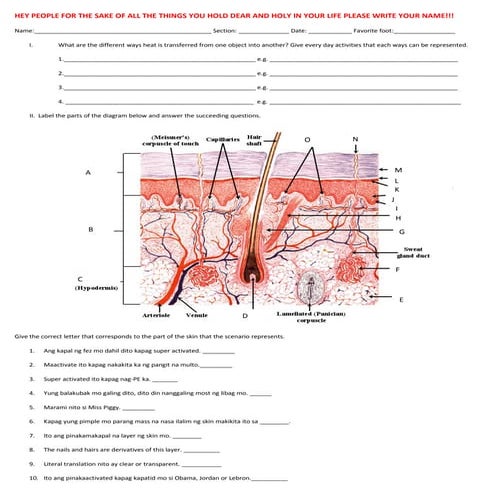 Integumentary activity