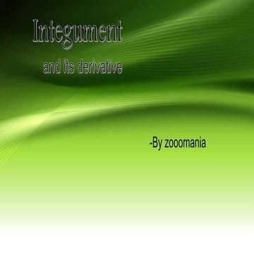 Integumentary derivative