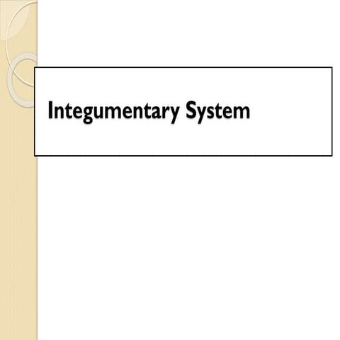 Integumentary System-1.pdfmmmmmmmmmmmmmmmmmm