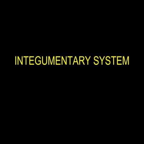 Integumentary system